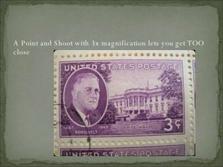 A Point and Shoot with 3x magnification lets you get TOO close 