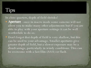 In close quarters, depth of field shrinks!  Aperture  - once in macro mode some cameras will not allow you to make many other adjustments but if you are able to play with your aperture settings it can be well worthwhile to do so. Don't forget that depth of field is very shallow, but this can be used to your advantage. Smaller apertures give greater depth of field, but a slower exposure may be a disadvantage, particularly in windy conditions. This can be overcome with a fast film (ASA) or flash.  