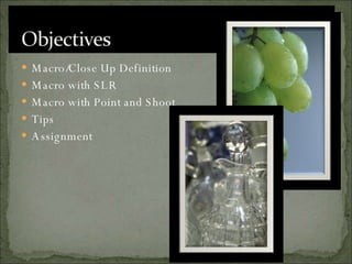 Macro/Close Up Definition Macro with SLR Macro with Point and Shoot Tips Assignment 