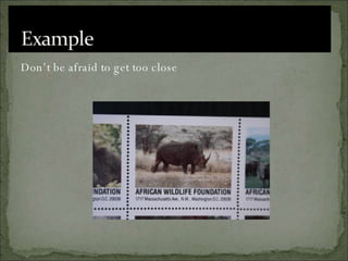 Don’t be afraid to get too close 