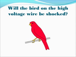 Will the bird on the high
voltage wire be shocked?
 