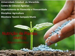 Universidade Estadual do Maranhão
Centro de Ciências Agrárias
Departamento de Fitotecnia e Fitossanidade
Disciplina: Agricultura
Monitora: Yasmin Sampaio Muniz
Nutrição de Plantas
(PARTE1)
(Macronutrientes)
 