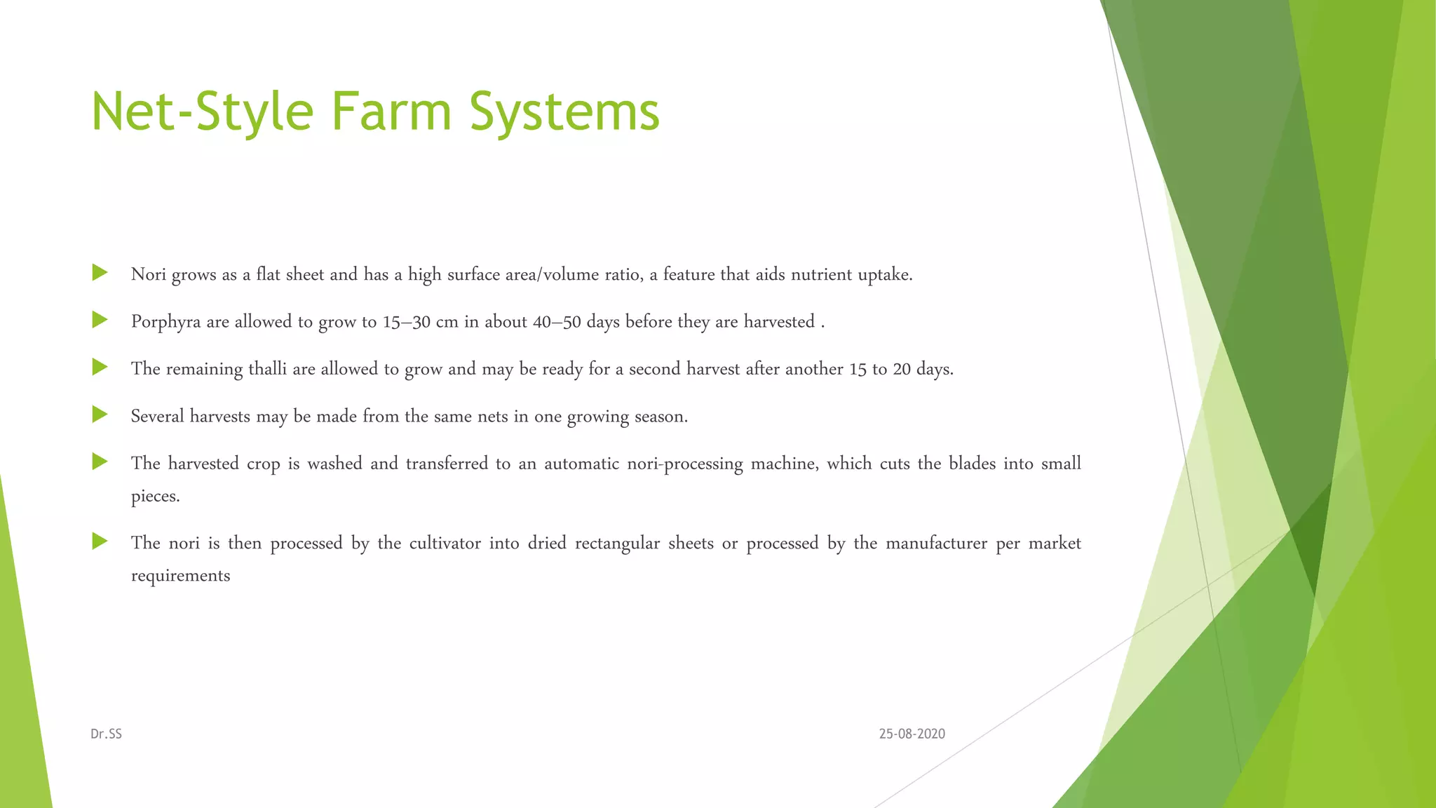 Net-Style Farm Systems
 Nori grows as a flat sheet and has a high surface area/volume ratio, a feature that aids nutrient uptake.
 Porphyra are allowed to grow to 15–30 cm in about 40–50 days before they are harvested .
 The remaining thalli are allowed to grow and may be ready for a second harvest after another 15 to 20 days.
 Several harvests may be made from the same nets in one growing season.
 The harvested crop is washed and transferred to an automatic nori-processing machine, which cuts the blades into small
pieces.
 The nori is then processed by the cultivator into dried rectangular sheets or processed by the manufacturer per market
requirements
25-08-2020Dr.SS
 