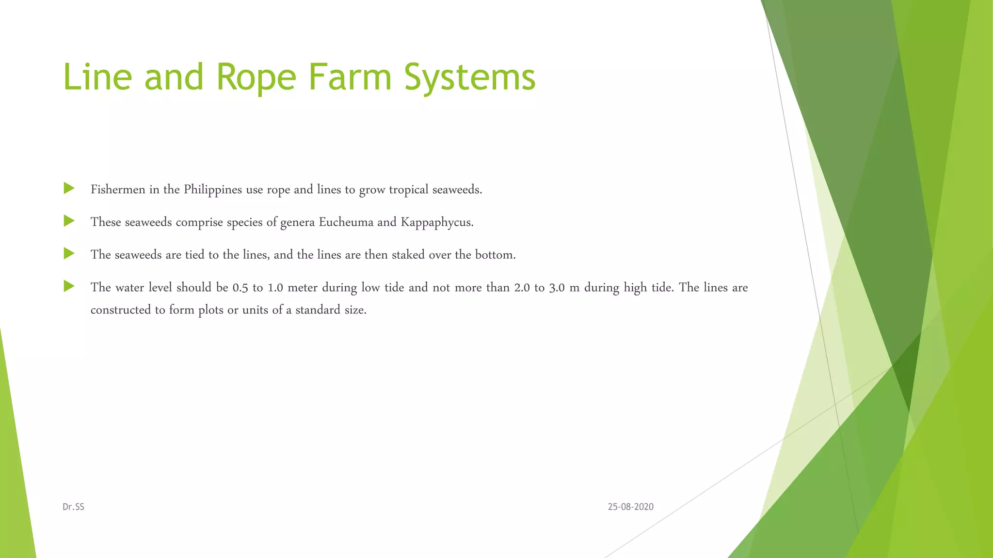 Line and Rope Farm Systems
 Fishermen in the Philippines use rope and lines to grow tropical seaweeds.
 These seaweeds comprise species of genera Eucheuma and Kappaphycus.
 The seaweeds are tied to the lines, and the lines are then staked over the bottom.
 The water level should be 0.5 to 1.0 meter during low tide and not more than 2.0 to 3.0 m during high tide. The lines are
constructed to form plots or units of a standard size.
25-08-2020Dr.SS
 