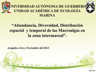 UNIVERSIDAD AUTÓNOMA DE GUERRERO
UNIDAD ACADÉMICA DE ECOLOGÍA
MARINA
“Abundancia, Diversidad, Distribución
espacial y temporal de las Macroalgas en
la zona intermareal”.
Acapulco, Gro a Noviembre del 2013
 