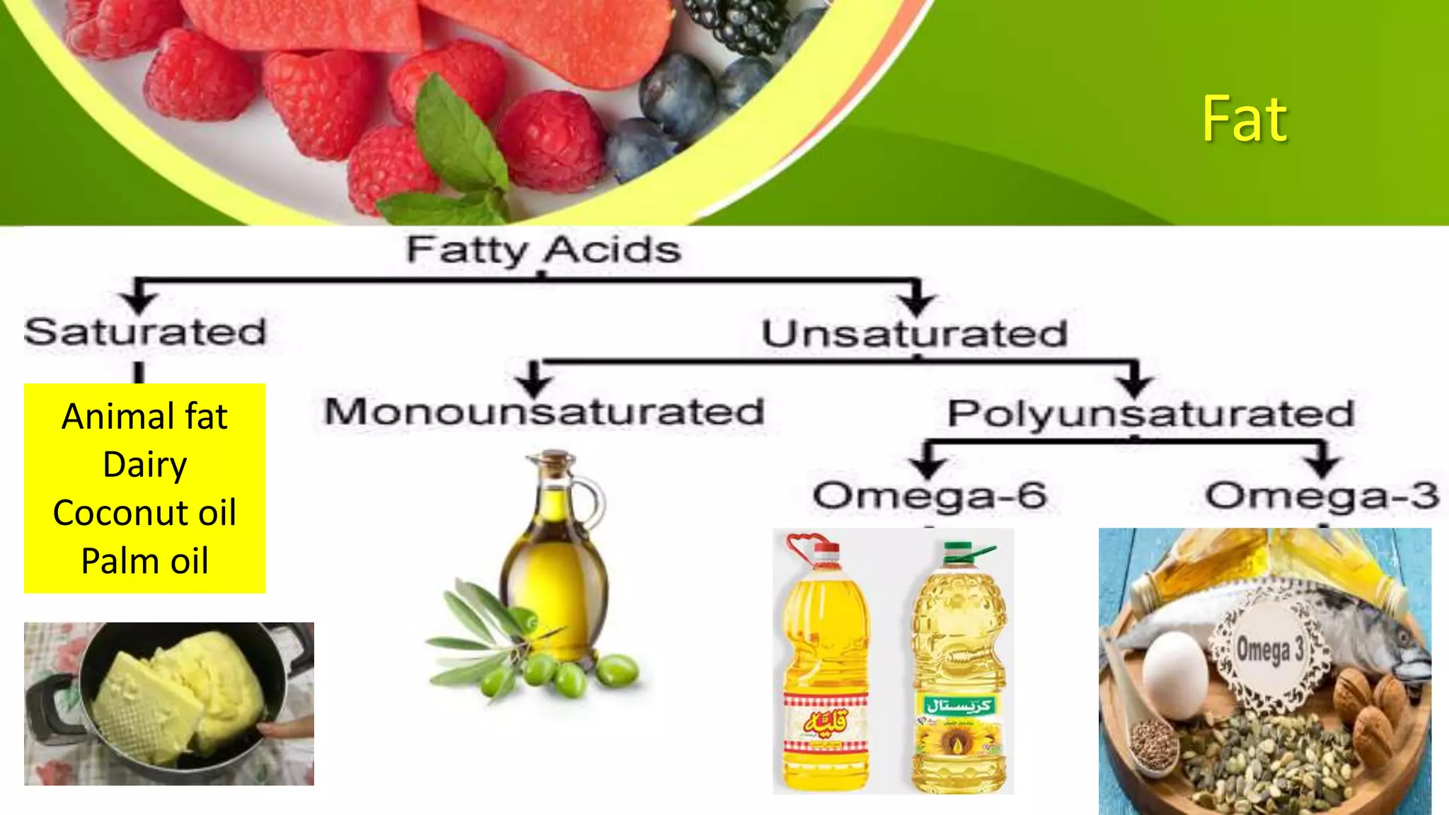 Fat
Animal fat
Dairy
Coconut oil
Palm oil
 