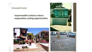 Macro and micro climate