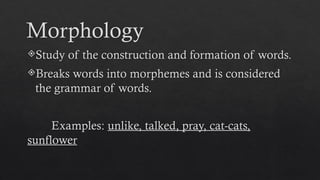 Macrobian Example Macro and Micro Linguistics - Cabenian pptx | PPTX