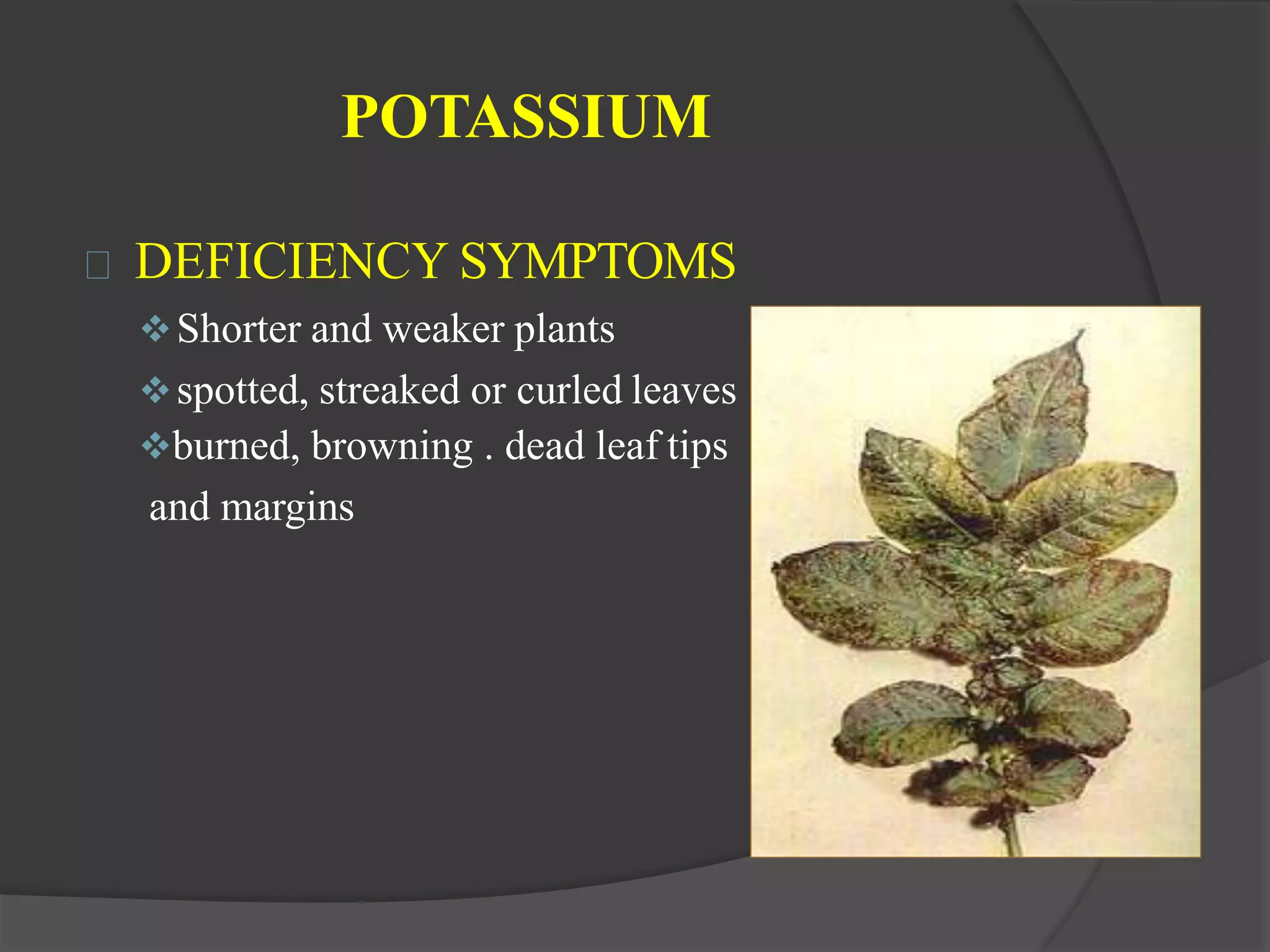 Macro and micro nutrients in soil