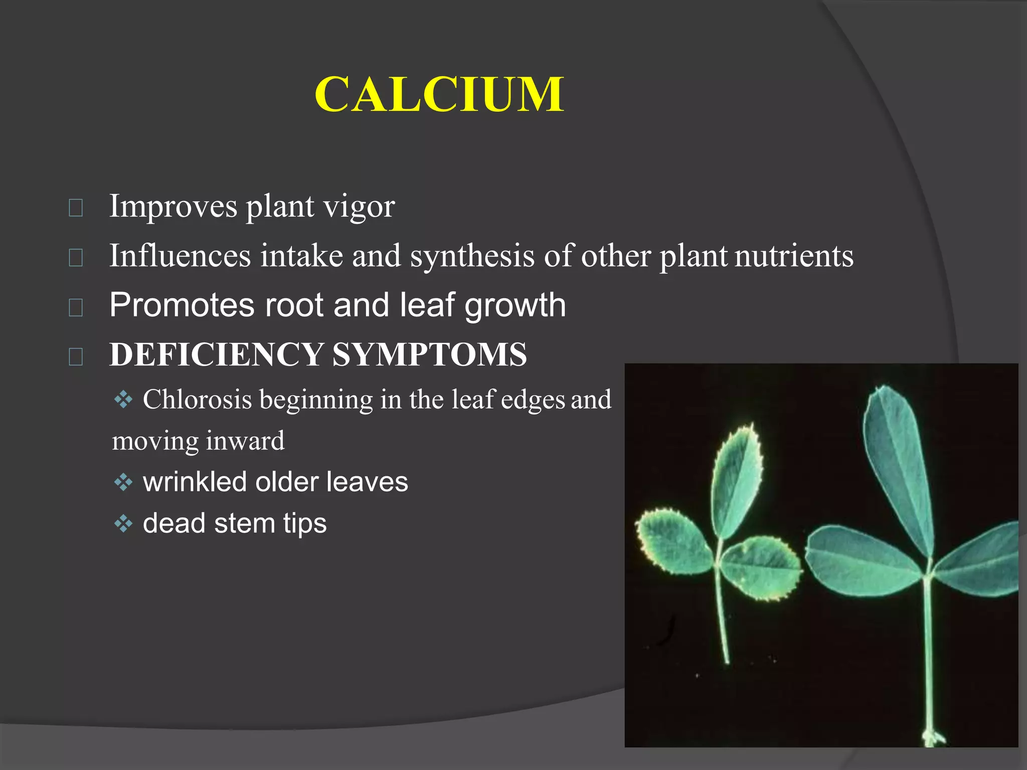 Macro and micro nutrients in soil