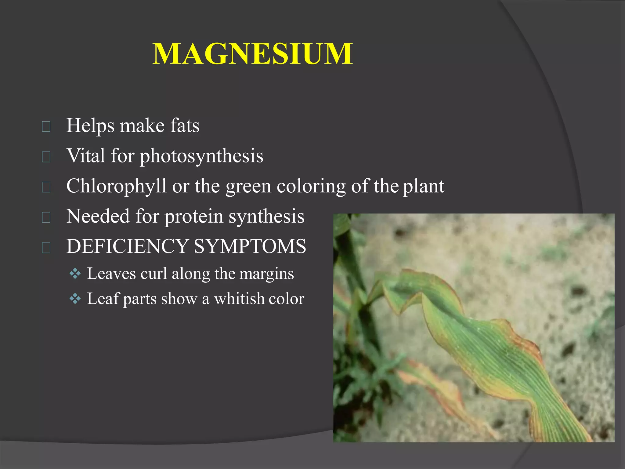 Macro and micro nutrients in soil