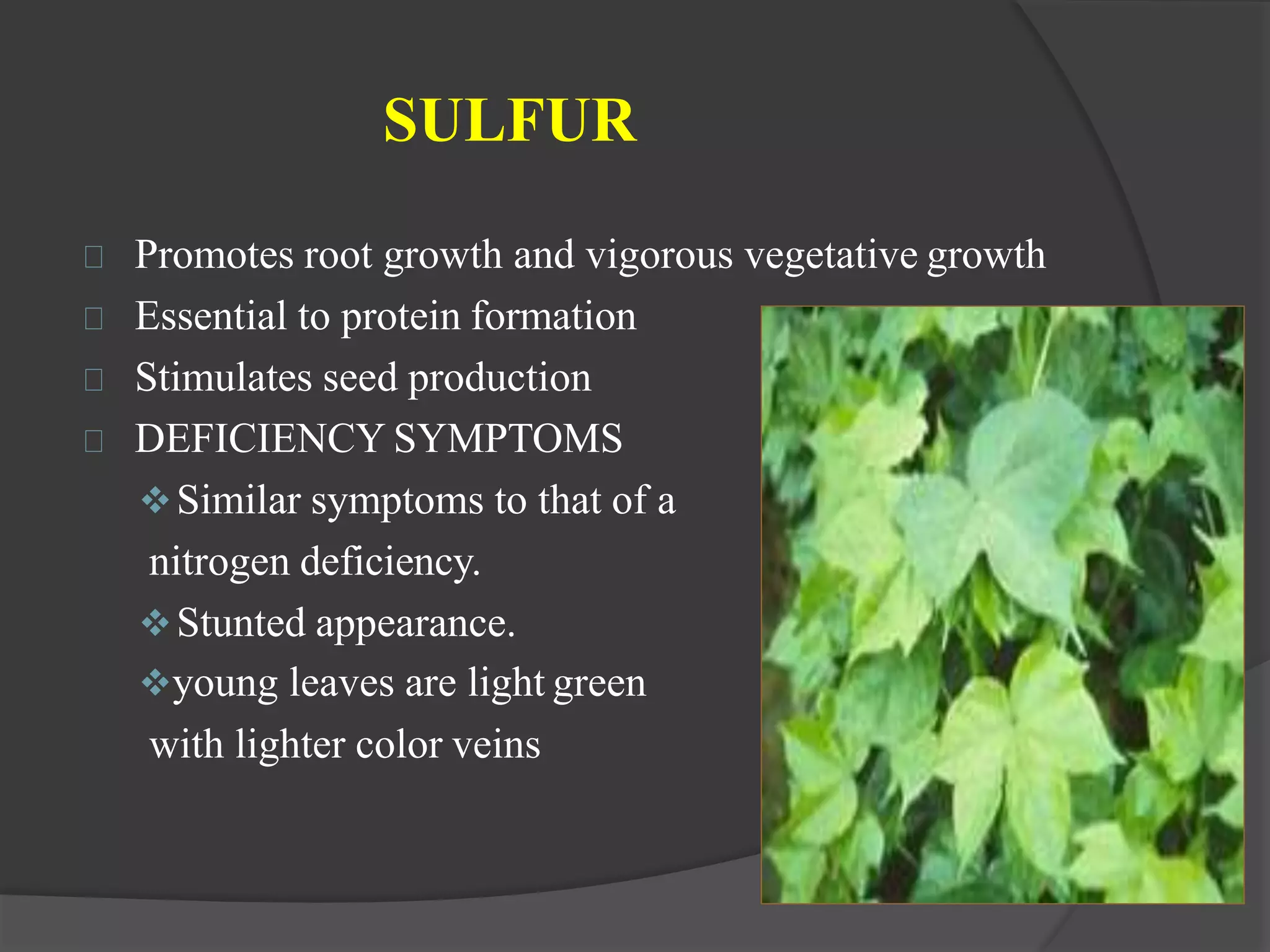 Macro and micro nutrients in soil