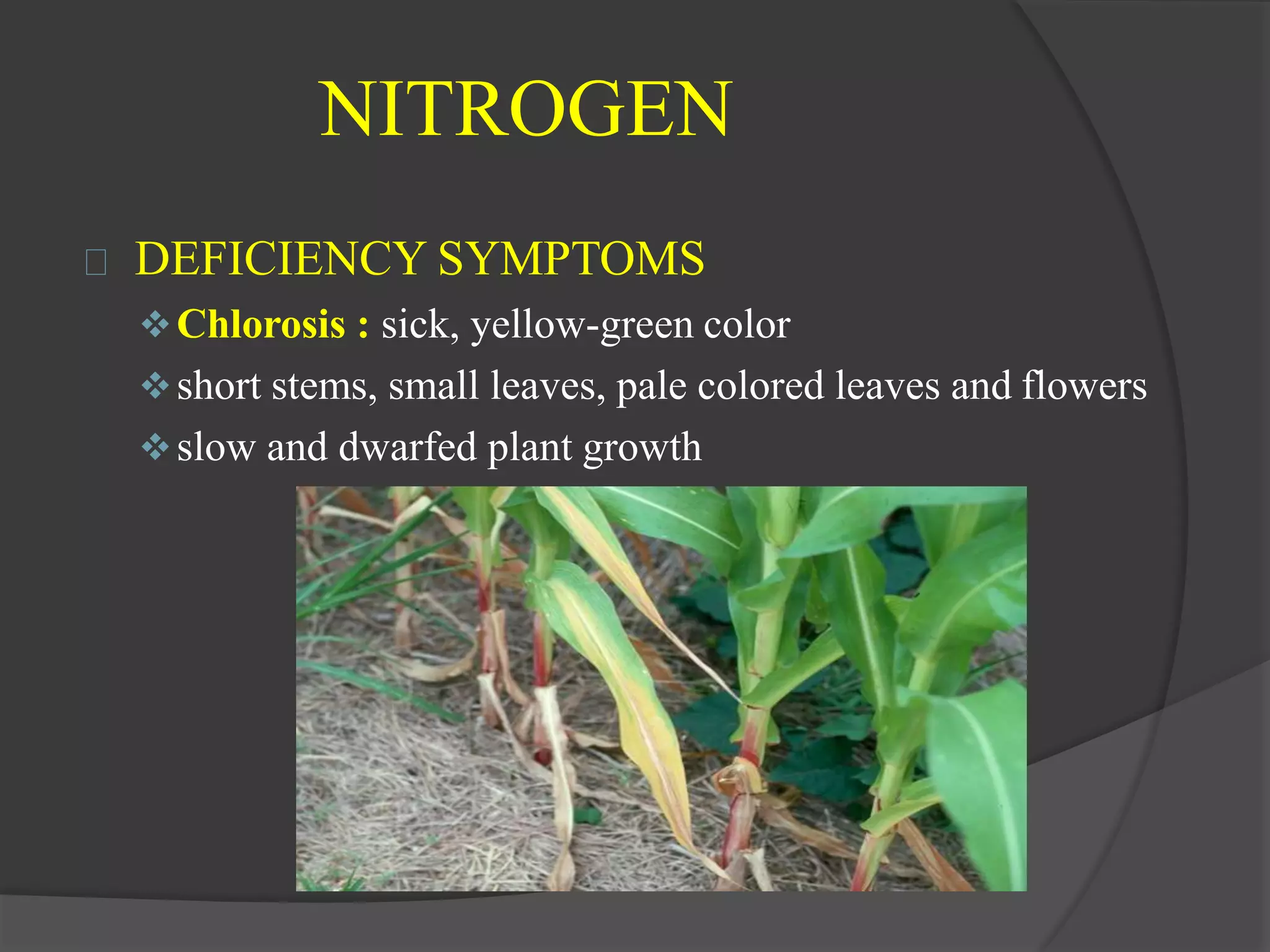 Macro and micro nutrients in soil