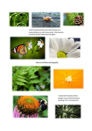 I like this photo of the snail. We all know it’s a 
macro photo as a snail is very small. I like how the 
sunshine almost ...