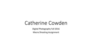 Catherine Cowden
Digital Photography Fall 2016
Macro Shooting Assignment
 