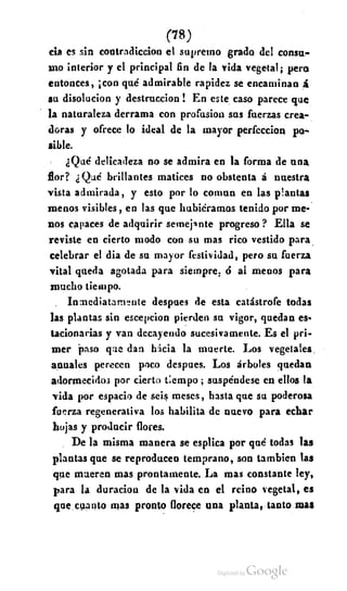 Macrobiotica, elartedeprolongarlavida