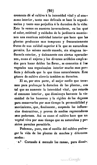 Macrobiotica, elartedeprolongarlavida