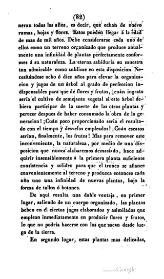 Macrobiotica, elartedeprolongarlavida