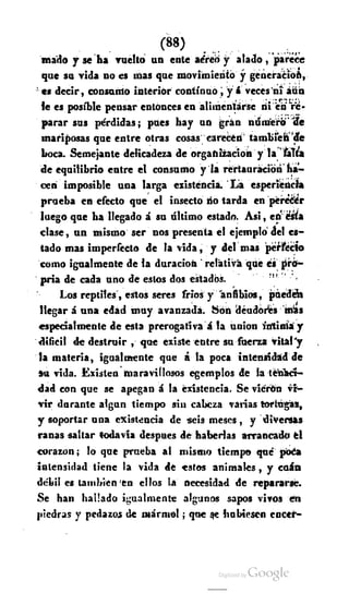 Macrobiotica, elartedeprolongarlavida