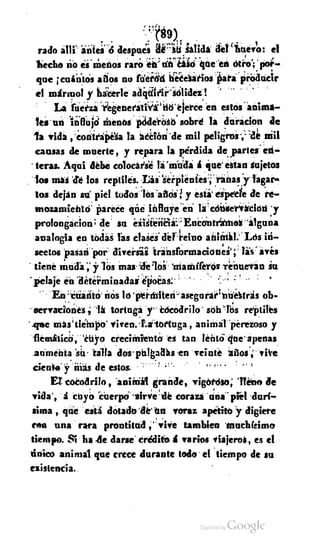 Macrobiotica, elartedeprolongarlavida