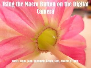 Using the Macro Button on the Digital Camera Curtis, Liam, John, Jonathan, Kaleb, Sam, Alistair& Tyler. 