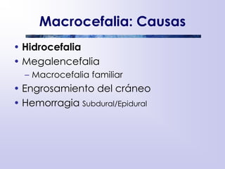 Macrocefalia: Causas
• Hidrocefalia
• Megalencefalia
– Macrocefalia familiar
• Engrosamiento del cráneo
• Hemorragia Subdural/Epidural
 