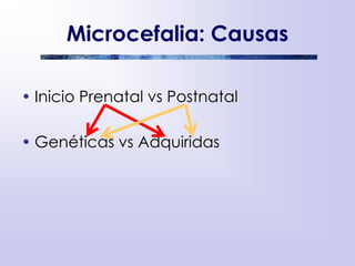 Microcefalia: Causas
• Inicio Prenatal vs Postnatal
• Genéticas vs Adquiridas
 