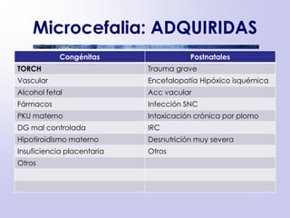 Microcefalia: ADQUIRIDAS
Congénitas Postnatales
TORCH Trauma grave
Vascular Encefalopatía Hipóxico isquémica
Alcohol fetal Acc vacular
Fármacos Infección SNC
PKU materno Intoxicación crónica por plomo
DG mal controlada IRC
Hipotiroidismo materno Desnutrición muy severa
Insuficiencia placentaria Otros
Otros
 