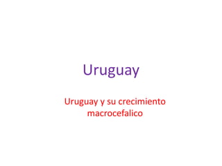 Uruguay 
Uruguay y su crecimiento 
macrocefalico 
 