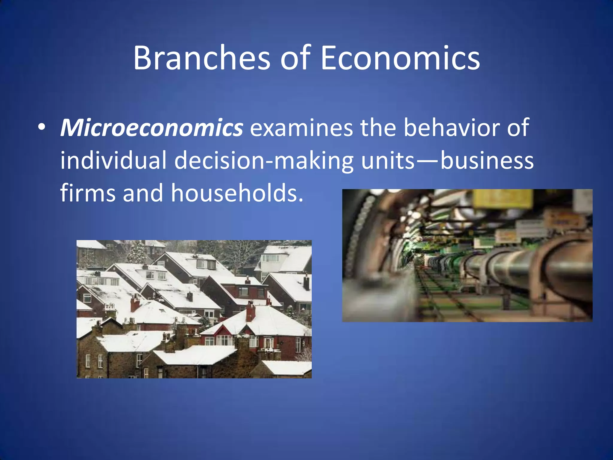 Branches of Economics
• Microeconomics examines the behavior of
  individual decision-making units—business
  firms and households.
 
