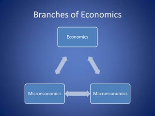 Branches of Economics

                 Economics




Microeconomics               Macroeconomics
 