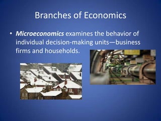 Branches of Economics
• Microeconomics examines the behavior of
  individual decision-making units—business
  firms and households.
 