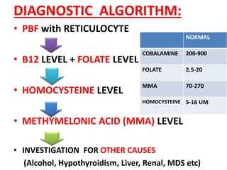 Macrocytic Anaemia Updates | PPTX