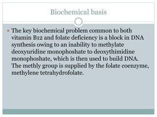 Biochemical basis
 The key biochemical problem common to both
vitamin B12 and folate deficiency is a block in DNA
synthesis owing to an inability to methylate
deoxyuridine monophoshate to deoxythimidine
monophoshate, which is then used to build DNA.
The methly group is supplied by the folate coenzyme,
methylene tetrahydrofolate.
 