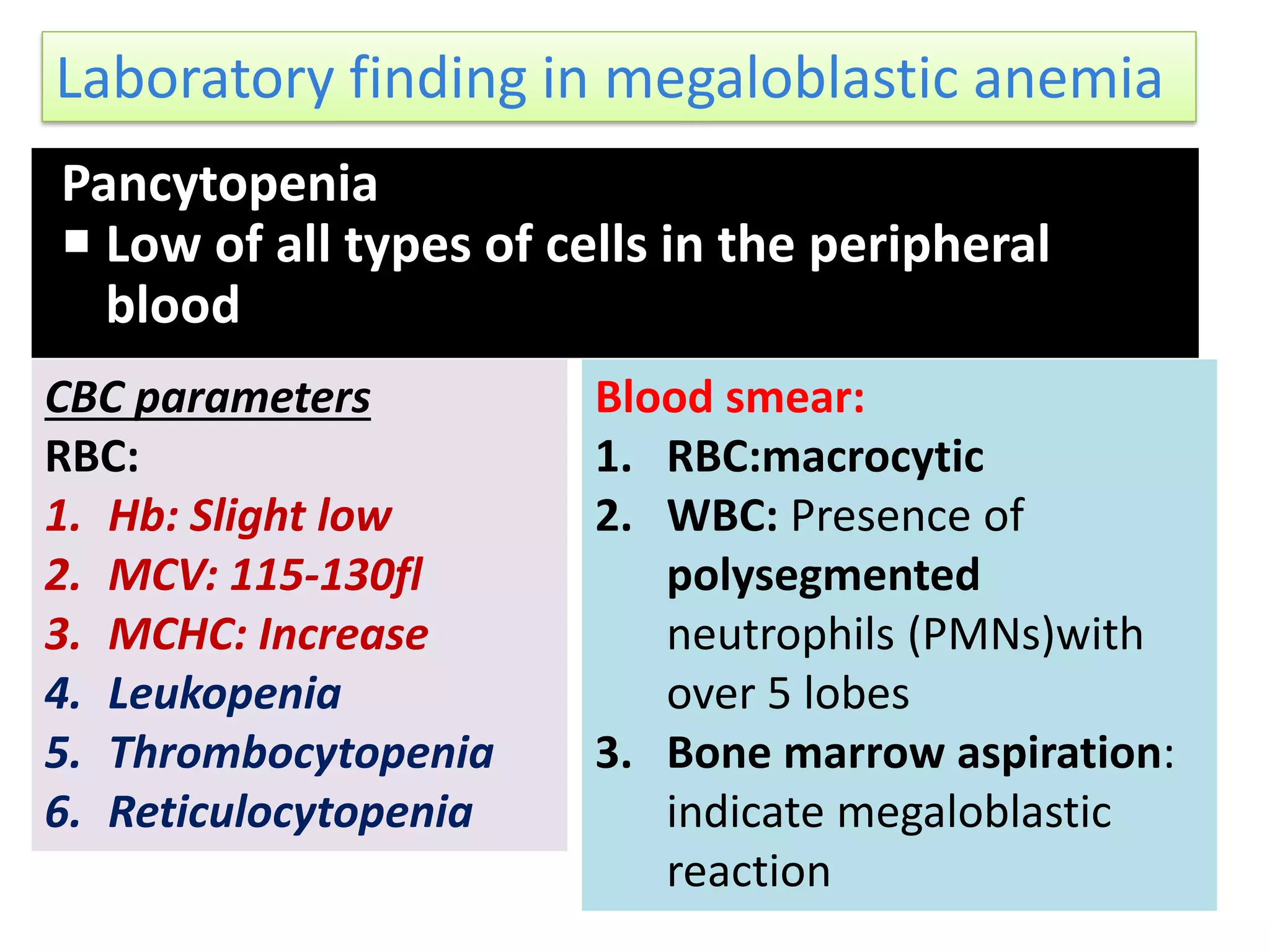 Pancytopenia
 Low of all types of cells in the peripheral
blood
CBC parameters
RBC:
1. Hb: Slight low
2. MCV: 115-130fl
3. MCHC: Increase
4. Leukopenia
5. Thrombocytopenia
6. Reticulocytopenia
Blood smear:
1. RBC:macrocytic
2. WBC: Presence of
polysegmented
neutrophils (PMNs)with
over 5 lobes
3. Bone marrow aspiration:
indicate megaloblastic
reaction
Laboratory finding in megaloblastic anemia
 