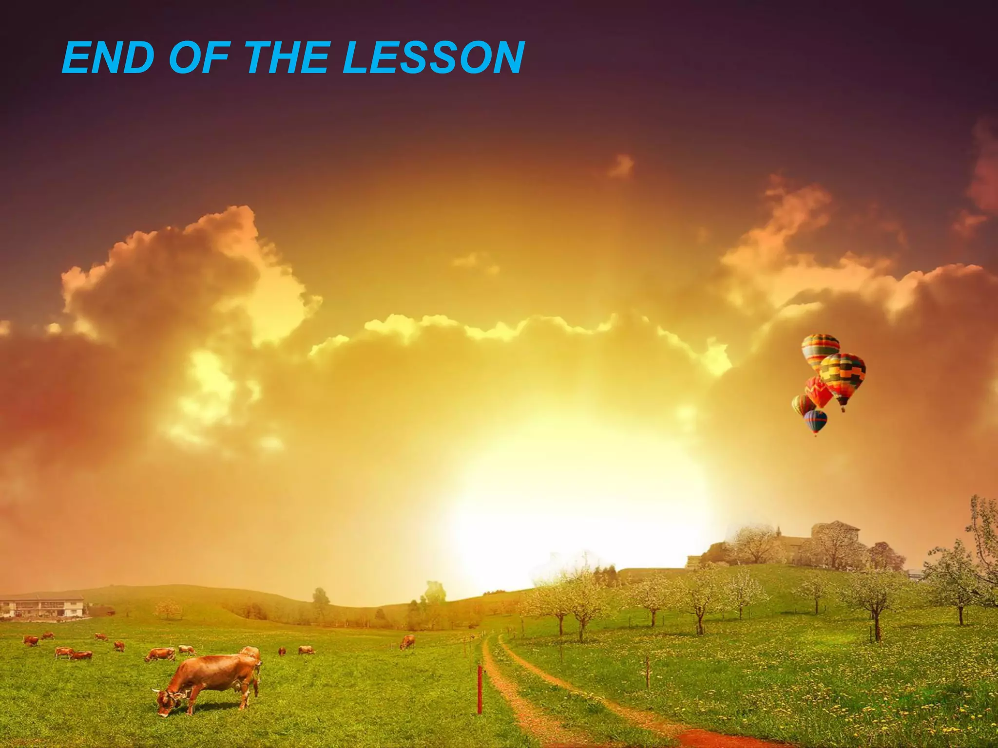 END OF THE LESSON
 