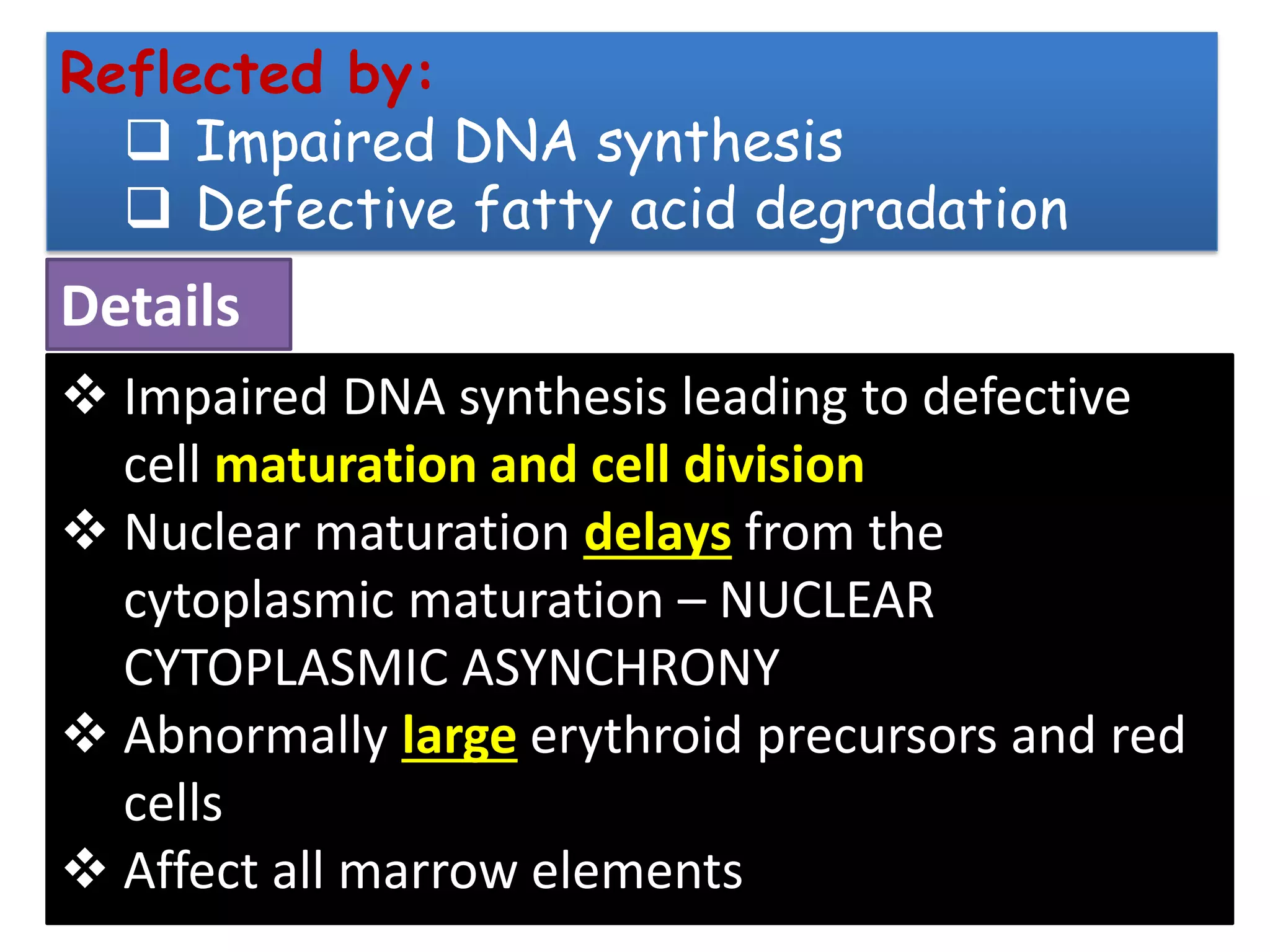 ❖ Impaired DNA synthesis leading to defective
cell maturation and cell division
❖ Nuclear maturation delays from the
cytoplasmic maturation – NUCLEAR
CYTOPLASMIC ASYNCHRONY
❖ Abnormally large erythroid precursors and red
cells
❖ Affect all marrow elements
Reflected by:
❑ Impaired DNA synthesis
❑ Defective fatty acid degradation
Details
 