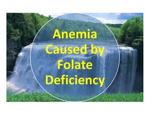 Anemia
Caused by
Folate
Deficiency
 