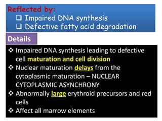 ❖ Impaired DNA synthesis leading to defective
cell maturation and cell division
❖ Nuclear maturation delays from the
cytoplasmic maturation – NUCLEAR
CYTOPLASMIC ASYNCHRONY
❖ Abnormally large erythroid precursors and red
cells
❖ Affect all marrow elements
Reflected by:
❑ Impaired DNA synthesis
❑ Defective fatty acid degradation
Details
 