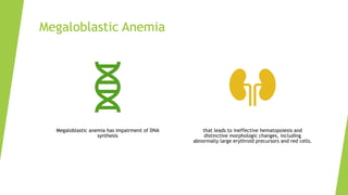 Megaloblastic Anemia
Megaloblastic anemia has impairment of DNA
synthesis
that leads to ineffective hematopoiesis and
distinctive morphologic changes, including
abnormally large erythroid precursors and red cells.
 