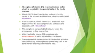  Absorption of vitamin B12 requires intrinsic factor,
which is secreted by the parietal cells of the fundic
mucosa.
 Vitamin B12 is freed from binding proteins in food by
pepsin in the stomach and binds to a salivary protein called
haptocorrin.
 In the duodenum, bound vitamin B12 is released from
haptocorrin by the action of pancreatic proteases and
associates with intrinsic factor.
 This complex is transported to the ileum, where it is
endocytosed by ileal enterocytes.
 Within ileal cells, vitamin B12 associates with
transcobalamin II, and is secreted into the plasma.
 Transcobalamin II deliver vitamin B12 to the liver and other
cells of the body, including rapidly proliferating cells in the
bone marrow and the gastrointestinal tract.
 