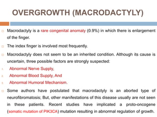 OVERGROWTH (MACRODACTYLY)
 Macrodactyly is a rare congenital anomaly (0.9%) in which there is enlargement
of the finger.
 The index finger is involved most frequently.
 Macrodactyly does not seem to be an inherited condition. Although its cause is
uncertain, three possible factors are strongly suspected:
1. Abnormal Nerve Supply,
2. Abnormal Blood Supply, And
3. Abnormal Humoral Mechanism.
 Some authors have postulated that macrodactyly is an aborted type of
neurofibromatosis; But, other manifestations of this disease usually are not seen
in these patients. Recent studies have implicated a proto-oncogene
(somatic mutation of PIK3CA) mutation resulting in abnormal regulation of growth.
 