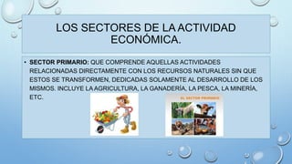 LOS SECTORES DE LA ACTIVIDAD 
ECONÓMICA. 
• SECTOR PRIMARIO: QUE COMPRENDE AQUELLAS ACTIVIDADES 
RELACIONADAS DIRECTAMENTE CON LOS RECURSOS NATURALES SIN QUE 
ESTOS SE TRANSFORMEN, DEDICADAS SOLAMENTE AL DESARROLLO DE LOS 
MISMOS. INCLUYE LA AGRICULTURA, LA GANADERÍA, LA PESCA, LA MINERÍA, 
ETC. 
 