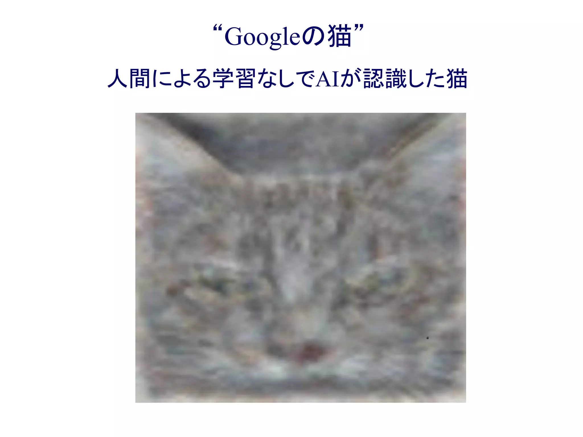 “Googleの猫”
人間による学習なしでAIが認識した猫
 