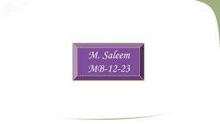 Omer Shahzad
MB-12-08

M. Saleem
MB-12-23
Ali Asghar
MB-12-34

 