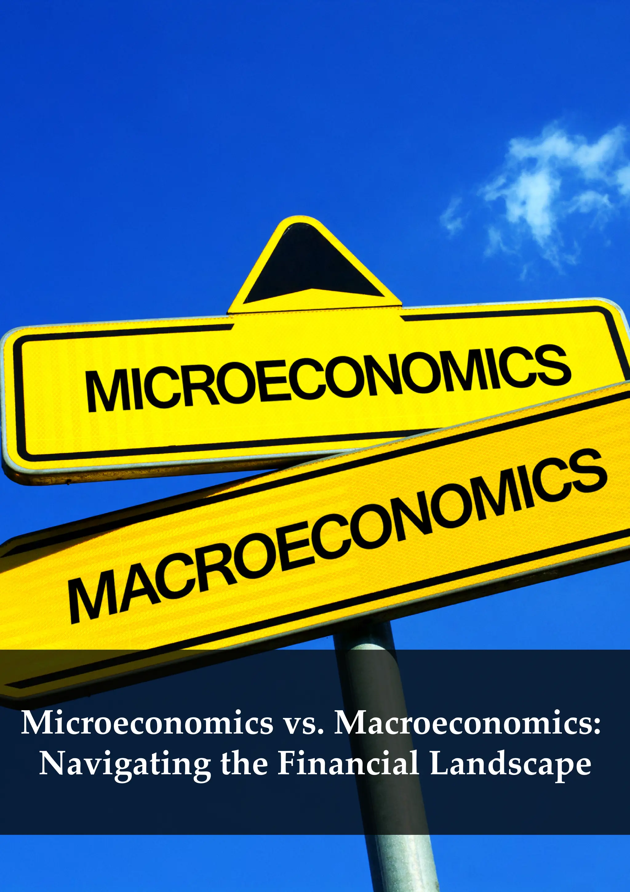 Macroeconomics vs Microeconomics | PDF
