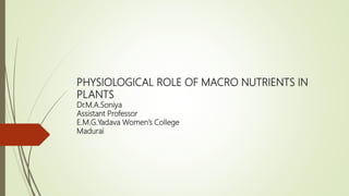 PHYSIOLOGICAL ROLE OF MACRO NUTRIENTS IN
PLANTS
Dr.M.A.Soniya
Assistant Professor
E.M.G.Yadava Women’s College
Madurai
 