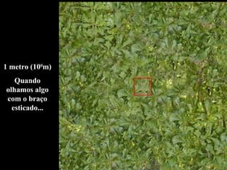1 metro (100
m)
Quando
olhamos algo
com o braço
esticado...
 