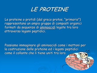 LE PROTEINE    Le proteine o protidi (dal greco protos, &quot;primario&quot;) rappresentano un ampio gruppo di composti organici formati da sequenze di aminoacidi legate tra loro attraverso legami peptidici.    Possiamo immaginare gli aminoacidi come i mattoni per la costruzione delle proteine ed i legami peptidici come il collante che li tiene uniti tra loro. 