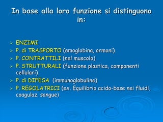 In base alla loro funzione si distinguono in:ENZIMIP. di TRASPORTO (emoglobina, ormoni)P. CONTRATTILI (nel muscolo)P. STRUTTURALI (funzione plastica, componenti  cellulari)P. di DIFESA  (immunoglobuline)P. REGOLATRICI (ex. Equilibrio acido-base nei fluidi, coagulaz. sangue)